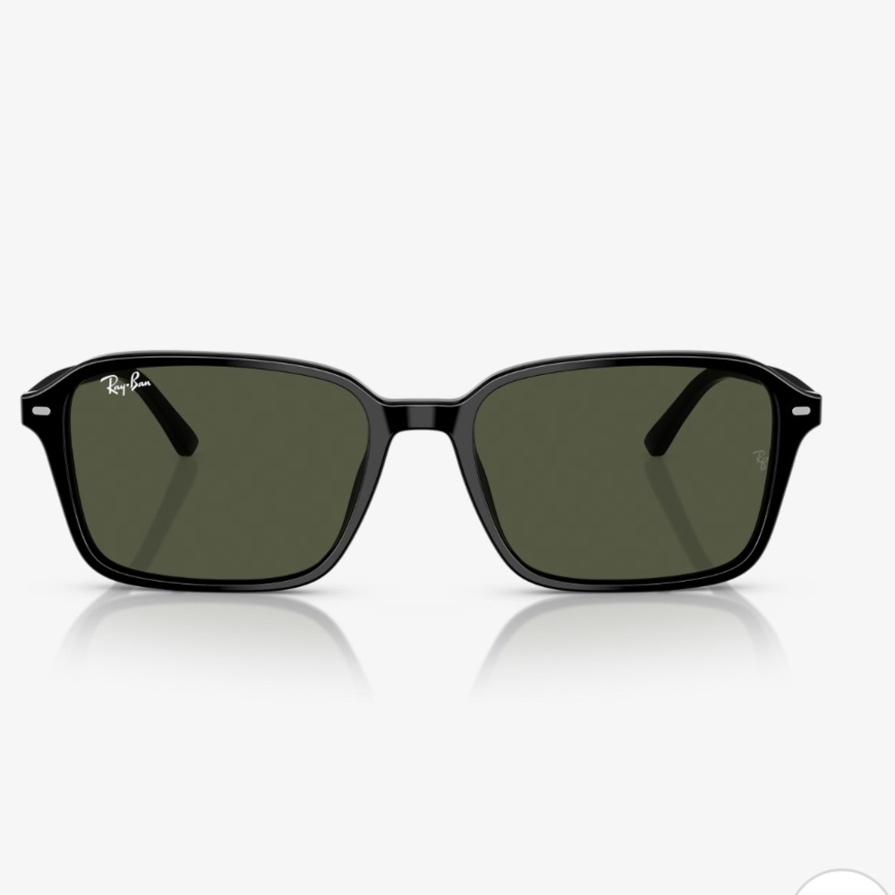 Ray-Ban RB2231 Raimond